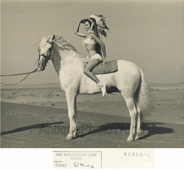 Schone Damen Indianer Kopfschmuck Auf Weiss Pferd Vintage Kunst Foto Von Joel Ebay